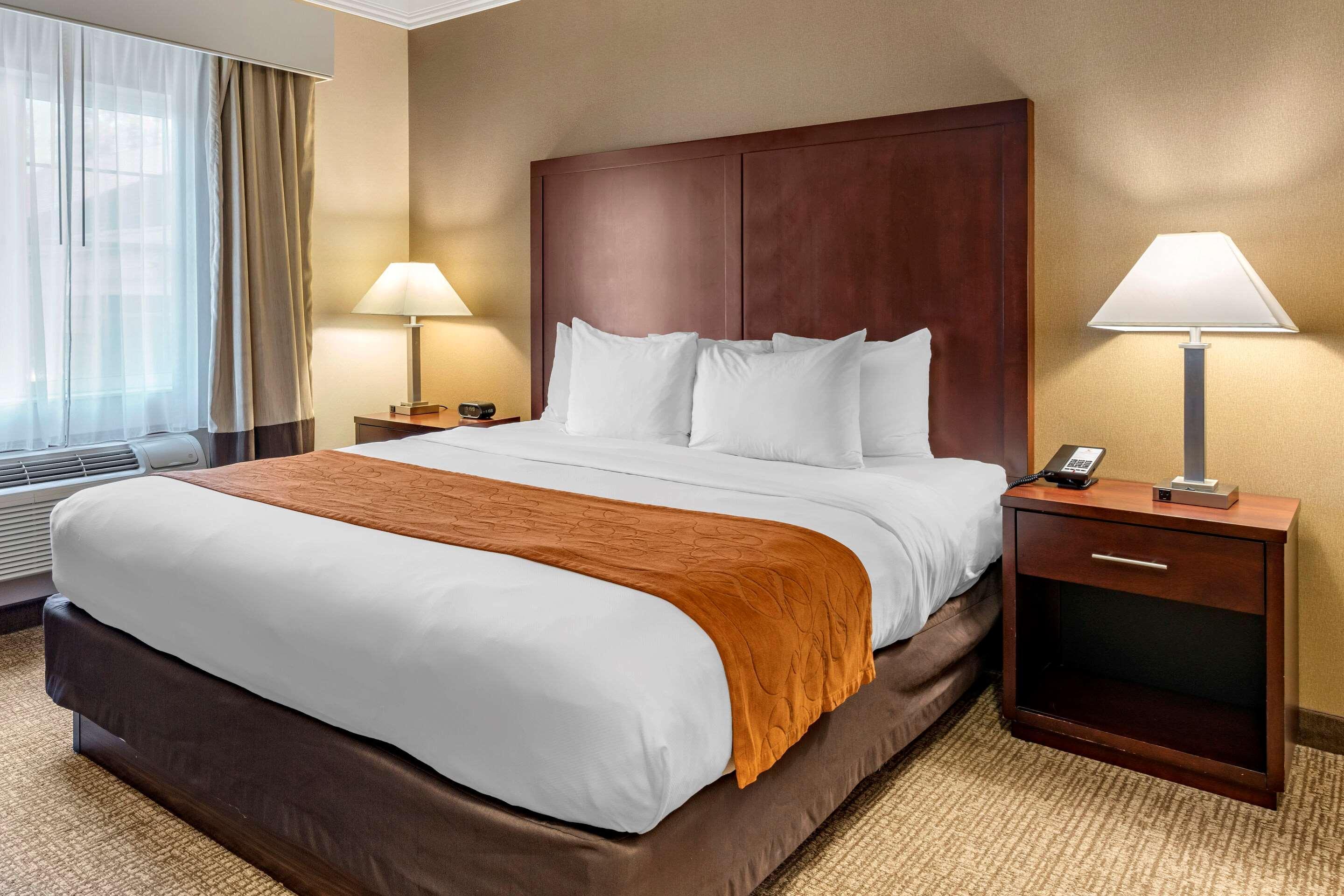 Comfort Suites Linn County Fairground And Expo Albany Exterior photo
