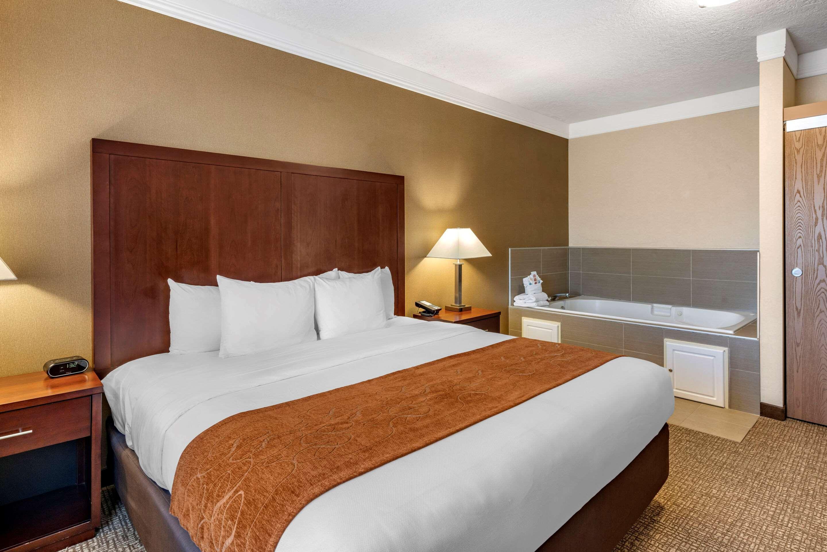 Comfort Suites Linn County Fairground And Expo Albany Exterior photo